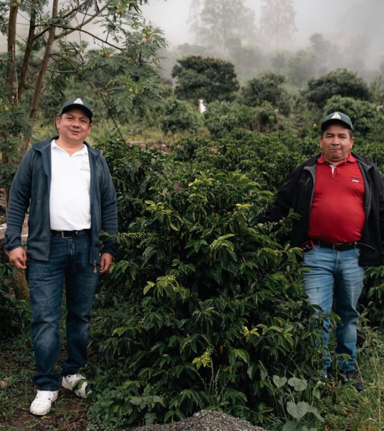 Two Farmer Jo's Coffee cultivators next to a coffee plant on the misty Colombian mountainside, showing regenerative organic coffee farms.